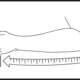 Sling BASIC