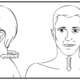 Neck Collar Shaped